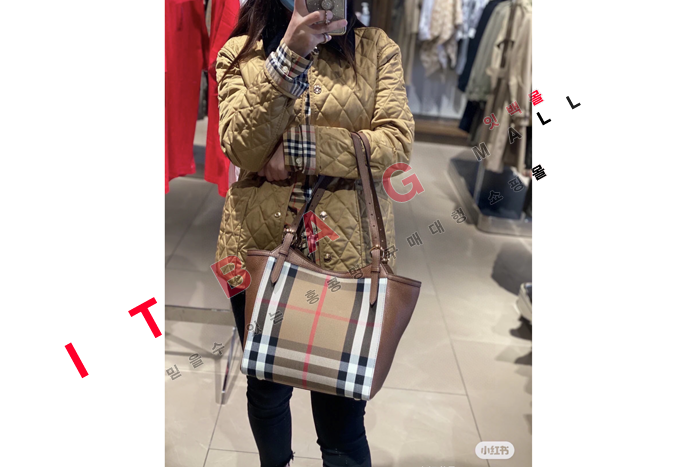 ������ �Ͽ콺 üũ ĵ�ͺ����� BU70163-2