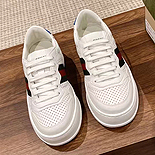 ���� �� ����Ŀ��  LP6066-5    ��������