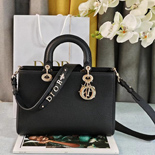 ��� Lady D-Sire �̵�� ��  DR9045