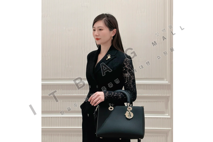 ��� Lady D-Sire �̵�� ��  DR9045