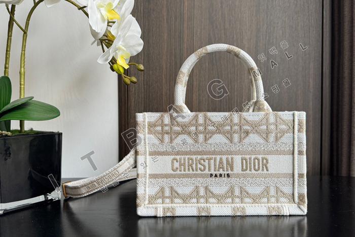 ��� �̴� �� ��Ʈ��  DR9101