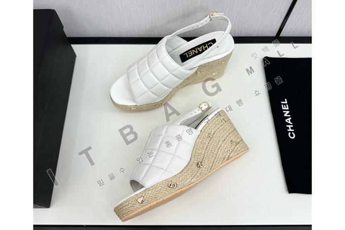 ���� ����  SH4896