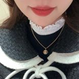 ���� �����   SY4858