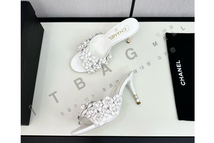 ���� �� ����  SH4900-2    8CM