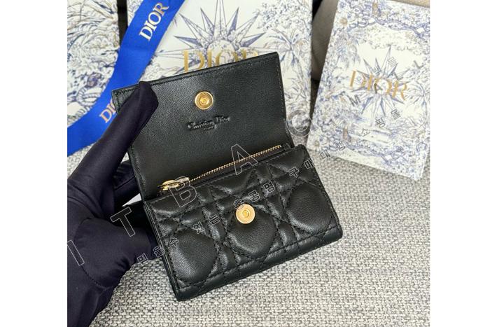 ��� My Glycine ����   A82369