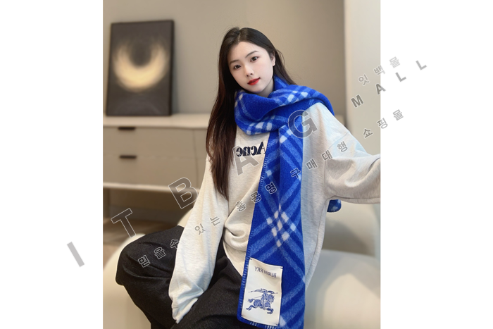 ������ ��ī�� üũ ��  YL6513-2     24/�Ż�