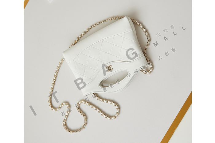 ���� 31bag ���� �̴Ϲ�  AP3656-10