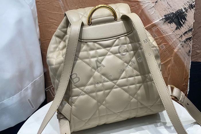 ��� Caro �̵�� ����  DR9158-2    24/�Ż�