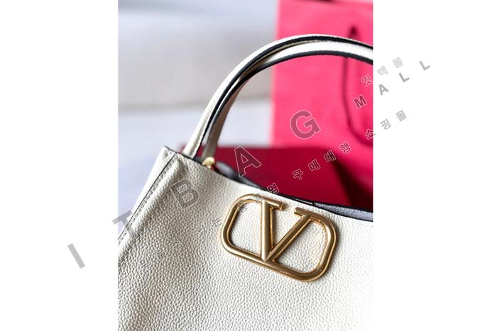 �߷�Ƽ�� ��Ÿ�� �׷��� ī����Ų ����/�̵��  �ڵ��  DX0187-2   24/�Ż�