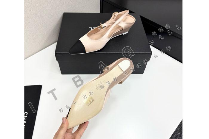 ���� ������  SH5517-1    25/�Ż�   