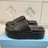 ����� ����  SH5519-1    25/�Ż�   4.5CM   2�÷�