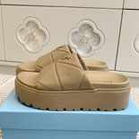 ����� ����  SH5519-3    25/�Ż�   4.5CM  