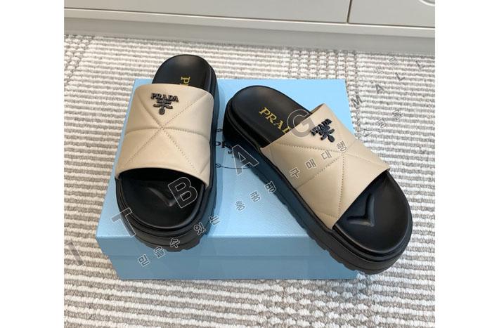����� ����  SH5519    25/�Ż�   4.5CM 
