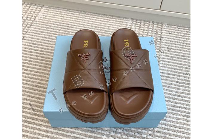 ����� ����  SH5519-2    25/�Ż�   4.5CM  