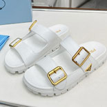����� ���� ����  SH5536    25/�Ż�