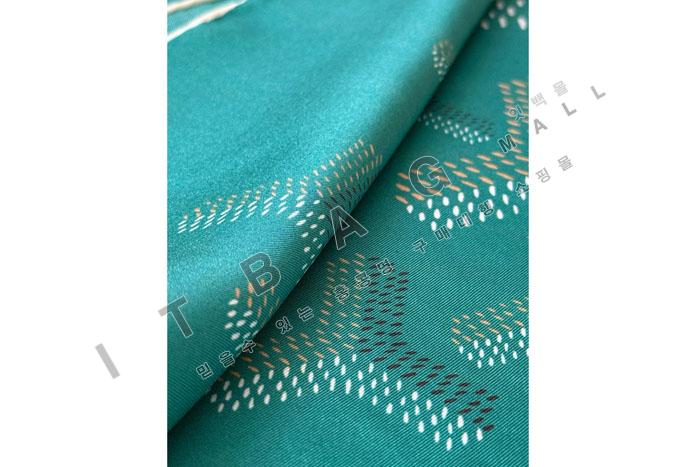 ���ߵ� ��ī�� ZH5500  25/�Ż�