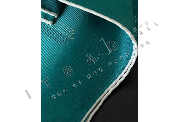 ���ߵ� ��ī�� ZH5500  25/�Ż�