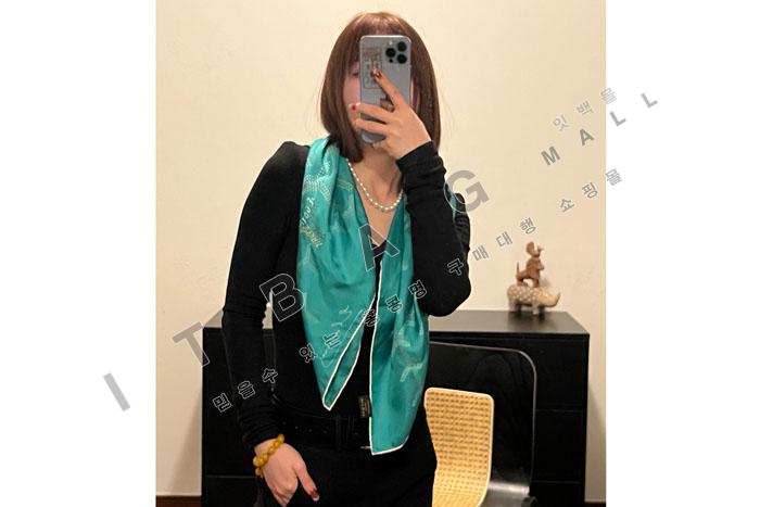 ���ߵ� ��ī�� ZH5500  25/�Ż�