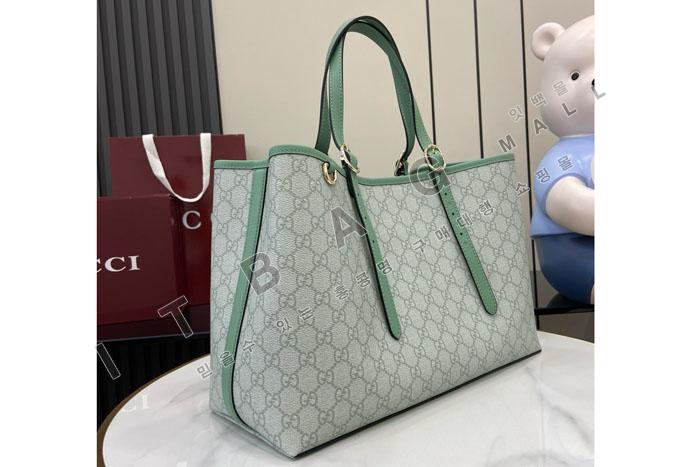 ���� GG ������ ���� ����� 815213-3    24/�Ż�