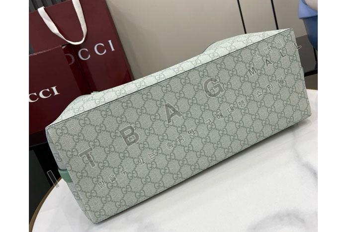 ���� GG ������ ���� ����� 815213-3    24/�Ż�