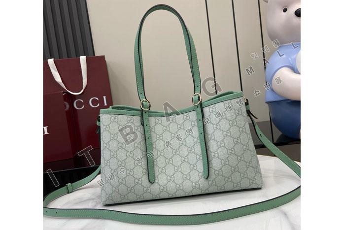 ���� ���ǵ�� GG ��Ʈ�� 815214-2   24/�Ż�
