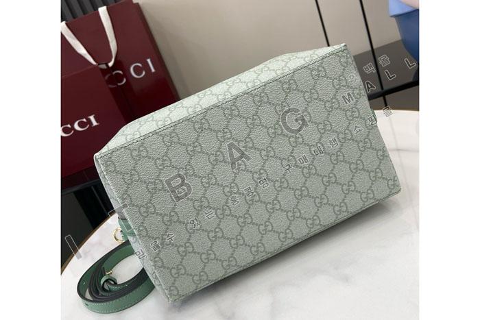 ���� GG ������ ���� ����� 815103-2  25/�Ż�