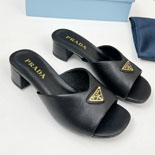 ����� �е� ���� ���� ����   SH5557     25/�Ż�    4CM   3�÷�