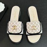 ���� ����  SH5569-4     25/�Ż�    2����