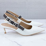 ��� Toujours ������ ������  SH5580-1    25/�Ż�      5CM