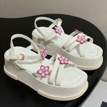 ���̺��� x TM ���� �÷��� ����  SH5596-1  ��  25/�Ż�   5CM