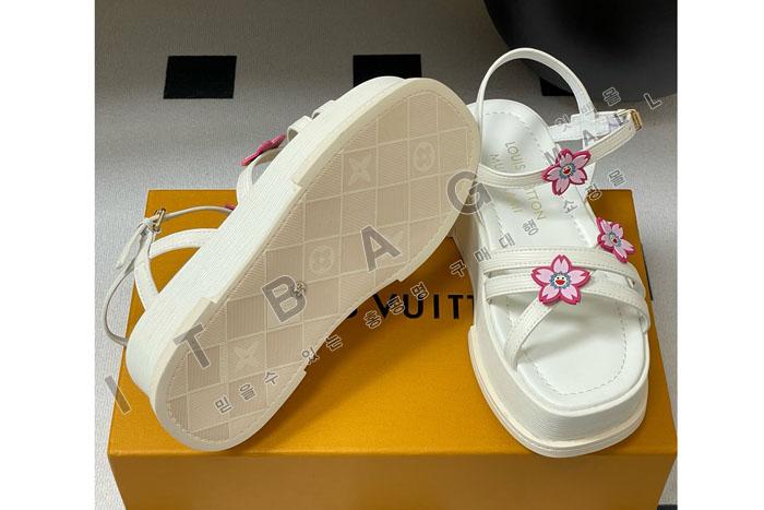 ���̺��� x TM ���� �÷��� ����  SH5596-1  ��  25/�Ż�   5CM
