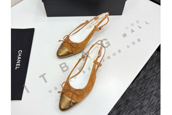 ���� ������  SH5659   25/�Ż�