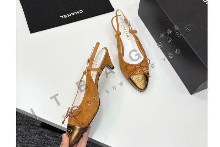 ���� ������  SH5659   25/�Ż�