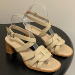 ��� D-club �� ����  SH5720-2  25/�Ż�  2��������