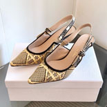 ���  J Adior ������ ������  SH5731  25/�Ż�  3��������