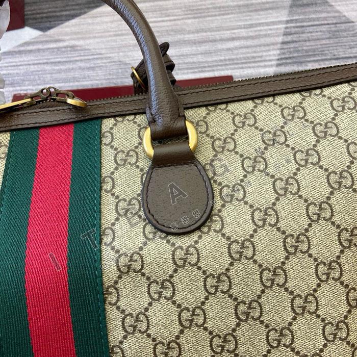 ���� �纸��  �̵�� ���ù� 834469   25/�Ż�