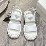 ����� ���� ���� ����  SH5769-2   25/�Ż�   5.5CM