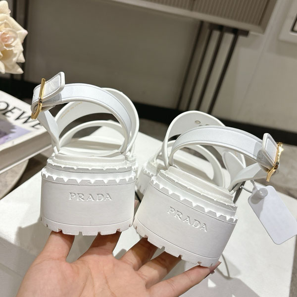 ����� ���� ���� ����  SH5769-2   25/�Ż�   5.5CM