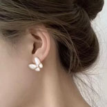 �� Ŭ���� �� �����ö��� �̾   YL6647   25/�Ż�   3�÷�