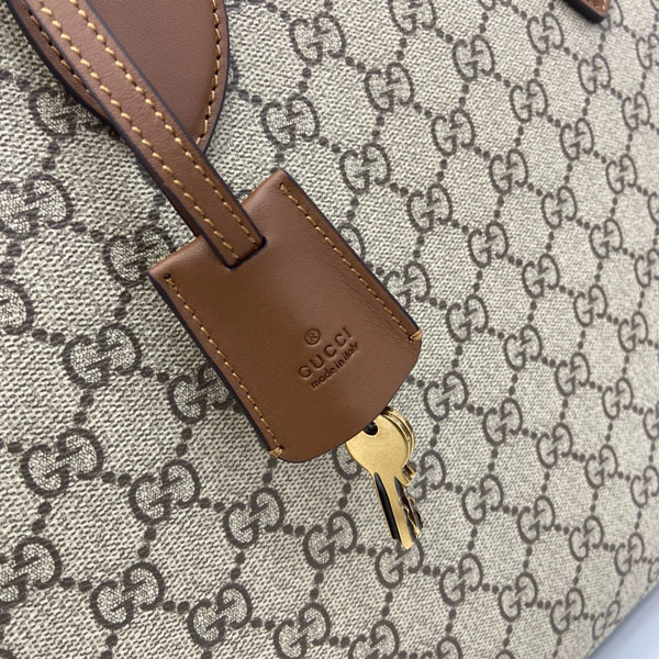 ���� GG ������ �̵�� �긮�����̽� 821149   25/�Ż�