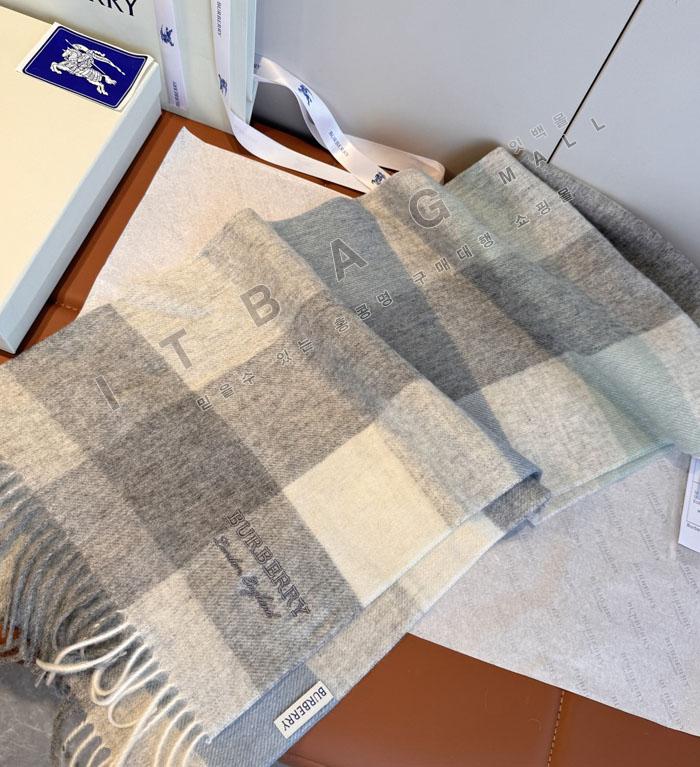 ������ ��ī�� �ɽù̾�  BS6679-1 