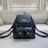 ��� Caro �̵�� ����  DR6301    25/�Ż�