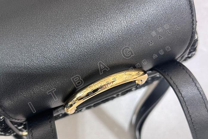��� Caro �̵�� ����  DR6301    25/�Ż�