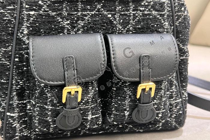��� Caro �̵�� ����  DR6301    25/�Ż�