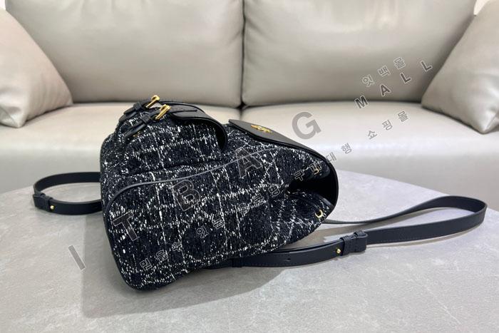 ��� Caro �̵�� ����  DR6301    25/�Ż�