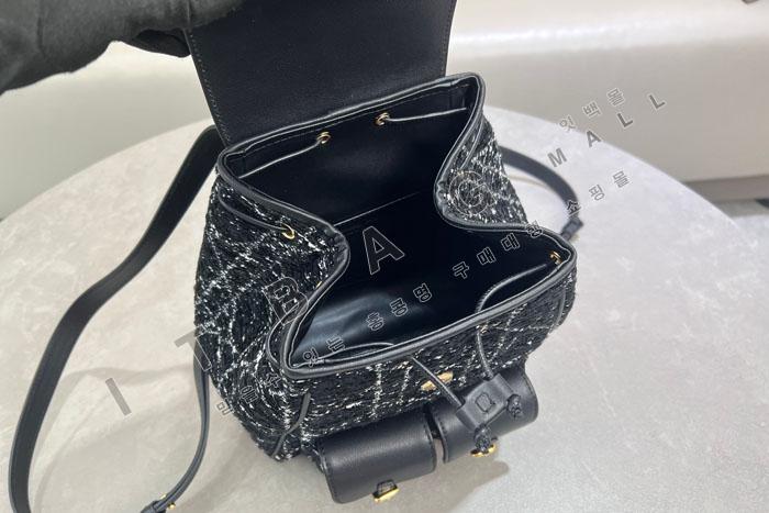 ��� Caro �̵�� ����  DR6301    25/�Ż�