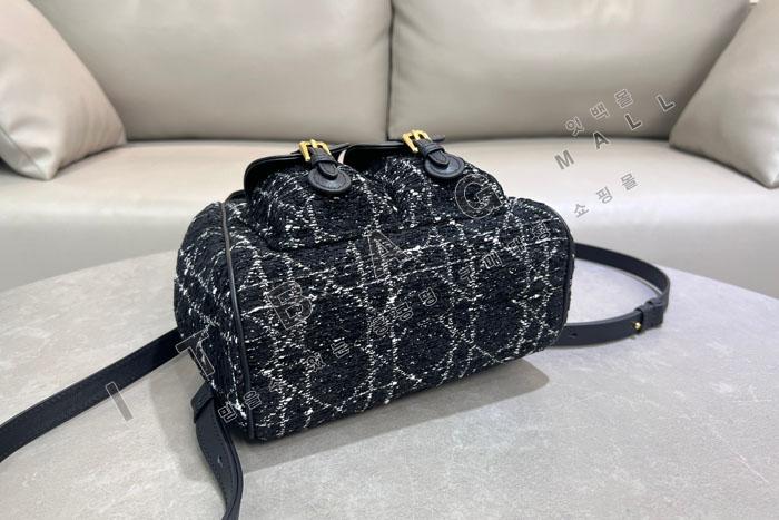 ��� Caro �̵�� ����  DR6301    25/�Ż�
