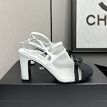 ���� ������ ������  SH5877    26/�Ż�  8.5CM
