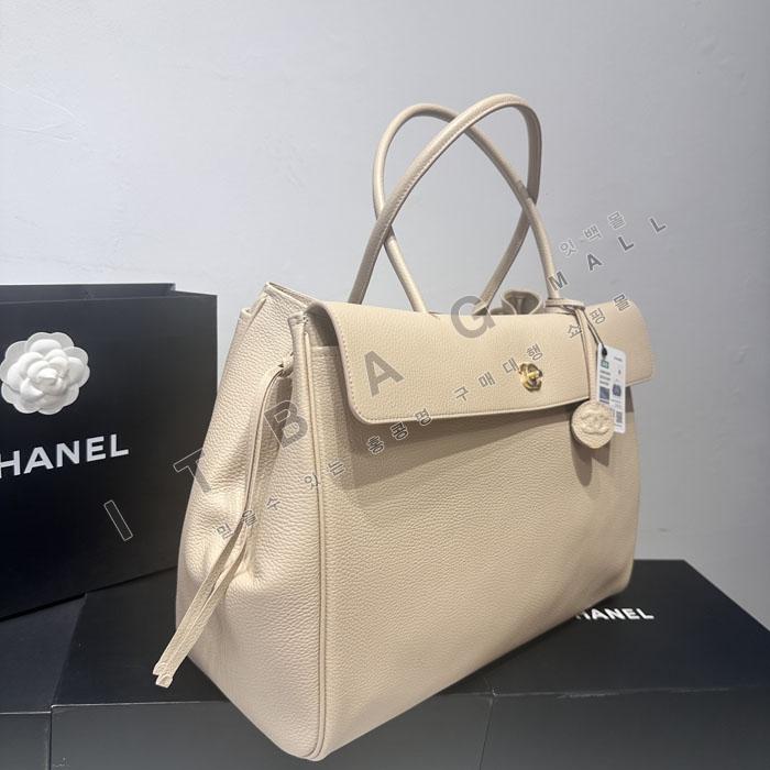 ���� ���� ���ι�   AS6289-1   26�Ż�  
