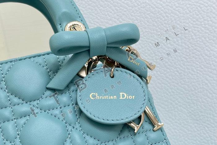 ��� ���̵� �̴� ü�ι�   DR1353-5   26/�Ż�  